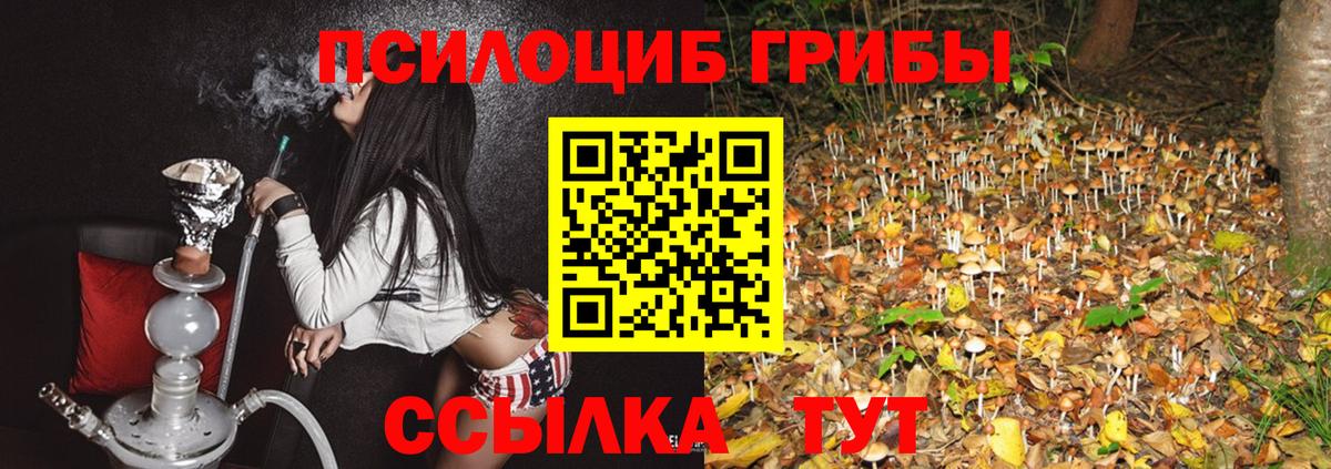 Таганрог  Галлюциногенные грибы мухоморы  Псилоцибиновые грибы мухоморы  Вход с VPN 