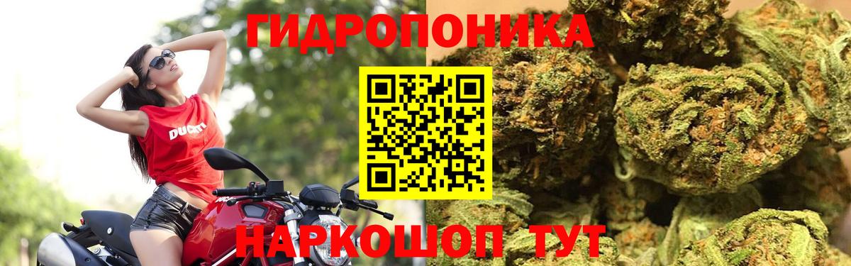 Бошки марихуана SATIVA & INDICA  Вход с VPN  Конопля тримм  Канабис конопля  Таганрог 